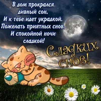 💗 Открытки, открытка! Приятных снов Сладких снов 💗 спокойной ночи |  Скачать открытку 123ot | Современная открытка, Ночь, Спокойной ночи