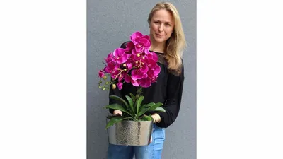 Фотообои 3д орхидея красивая купить в Москве, Арт. 10-190 в  интернет-магазине, цены в Мастерфресок