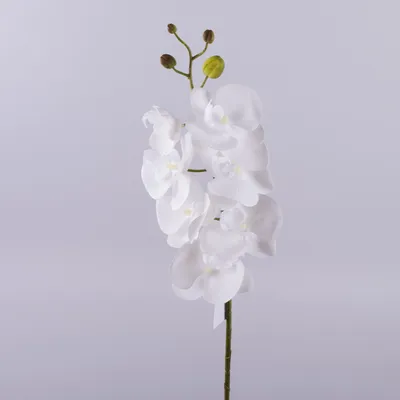 Купить латексную орхидею. Красивые орхидеи. Искусственные фаленопсисы оптом