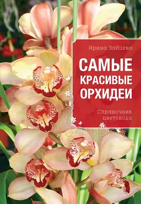 Фотообои Красивые цветы орхидеи 14135 купить в Украине | Интернет-магазин  