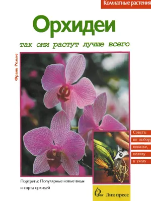 Орхидея: все о выращивании и размножении капризного цветка - РИА Новости,  