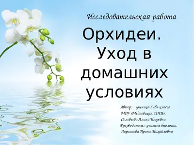 Исследовательская работа на тему: "Уход за орхидеями"