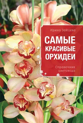 Орхидея Фаленопсис - «Мой опыт в уходе орхидей. Какие могут возникнуть  трудности. Приятные, и не очень, моменты.» | отзывы