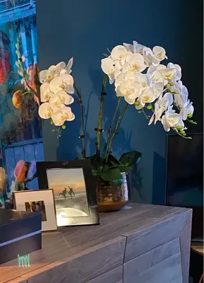 Красивые орхидеи с камнями — Обои на стену. Артикул 10006997.