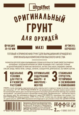 картинки : Орхидея, цветок, цветущее растение, лепесток, Моль орхидеи,  Розовый, Пурпурный, Орхидеи филиппинцев, Phalaenopsis sanderiana,  Флористика, Наземное растение, Рождественская орхидея, Дендробий, Cattleya  labiata, cooktown orchid, Цветочный ...