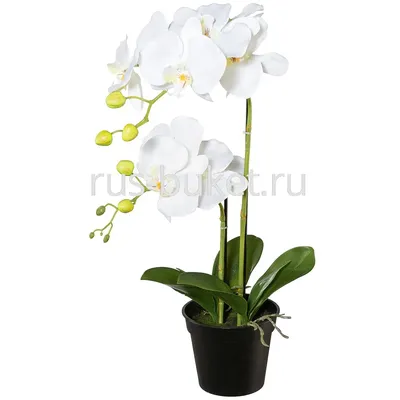 Орхидея на ощупь, латексная композиция высокого качества, 3 отпечатка,  большой размер, Роскошный декор для стола, дома, гостиницы, без вазы, 1  комплект | AliExpress