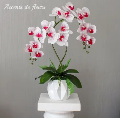 Фотообои 3D Studio Белая орхидея N011-1 купить в Москве. Цена, фото, в  интерьере - Магазин обоев ДомДомыч.ру
