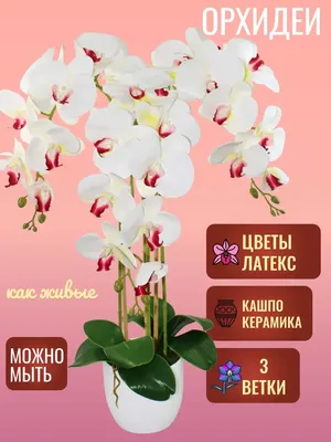 Вышивка Luca-S, B7009 Изящные орхидеи 25х25см купить в ШвейСклад