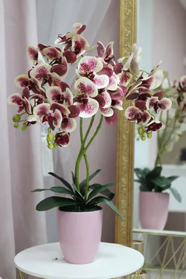 Латексные орхидеи 3 веточки (разные расцветки на фото) – заказать на  Ярмарке Мастеров – MZIMMRU | Композиции, Ставрополь