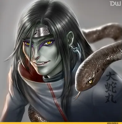 Orochimaru (Орочимару) :: Naruto :: мир аниме :: сообщество фанатов /  картинки, гифки, прикольные комиксы, интересные статьи по теме.