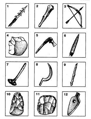 Орудия труда древнейшего человека | Преподавание истории, Первобытное  общество, Проекты по истории