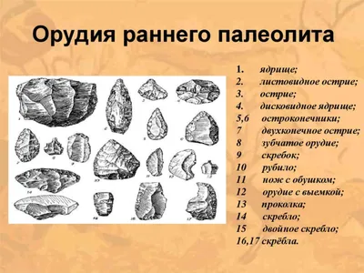 Орудия труда первобытного человека 63 картинки