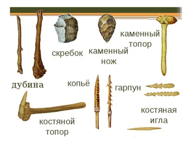 КСП "Как природные изменения повлияли на жизнь первобытных людей"