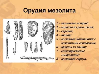 Купить инструмент в Брянске – стройматериалы по низкой цене оптом и в  розницу с доставкой