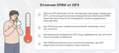 ОРЗ, ОРВИ, грипп и простуда. В чём разница? | Государственная аптечная сеть  "Кубаньфармация" | Дзен