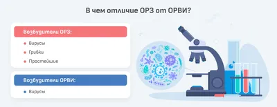 Простуда - это ОРЗ или ОРВИ? Различие и симптомы | Справочник фельдшера |  Дзен