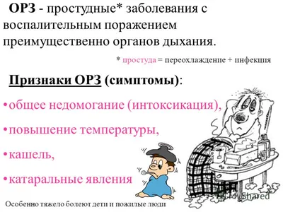 В чем разница между ОРВИ, ОРЗ, простудой и гриппом? | Блог медцентра  "АландМед" | Дзен