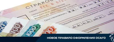 ОСАГО и Техосмотр - Разное, Страховые услуги, Москва, Южное Бутово на  Яндекс Услуги