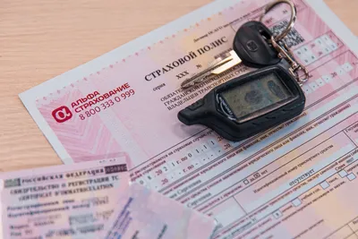 Экономия для водителей: ОСАГО в России теперь можно приобрести без переплат  - , Sputnik Кыргызстан