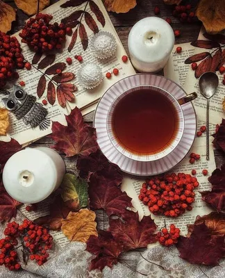 Чай с хорошим настроением, чтобы запомнить эту осень! – HelengerArt
