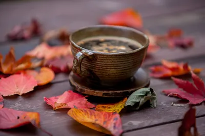 Autumn tea with lemon Осенний чай с лимоном | Осенние листья, Осень,  Осенние фотографии