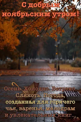 Красивые картинки "Доброе осеннее утро!" (382 шт.)