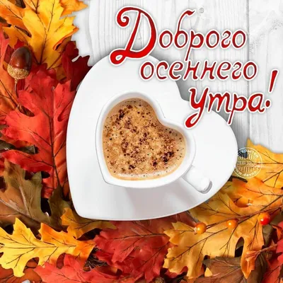 Пин от пользователя Olga Frunze на доске доброе утро | Доброе утро, Осенние  виды, Счастливые картинки