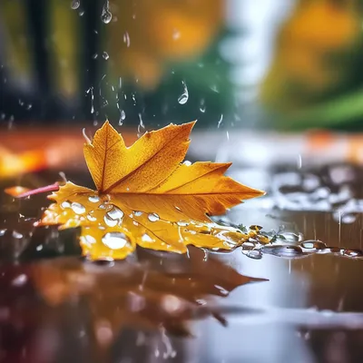 Осень, листья, дождь, реалистично, …» — создано в Шедевруме
