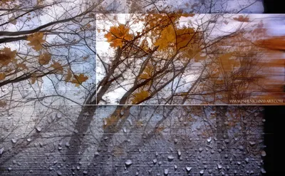 Кленовый лист дождь (48 фото) - 48 фото