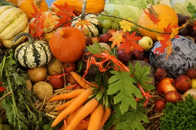 Осень фрукты и овощи картинки