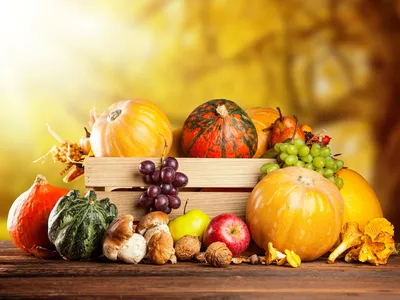 Какие сезонные продукты нужно уотреблять осенью