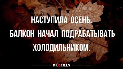 Прикольная осенняя открытка с добрым утром и пожеланиями | Открытки,  Собачки, Забавные животные