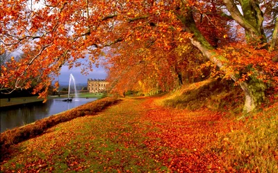 Картинки ранняя осень, фото природа осени, скачать обои 2560x1600