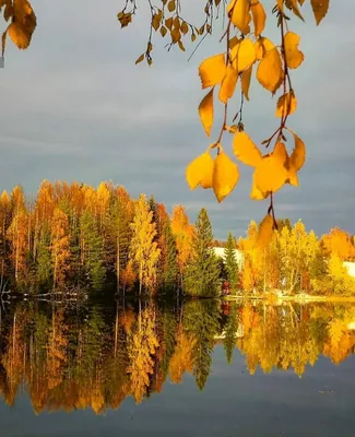 Открытка красивая осень природа - 72 фото