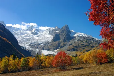 Осень в горах обои | Премиум Фото
