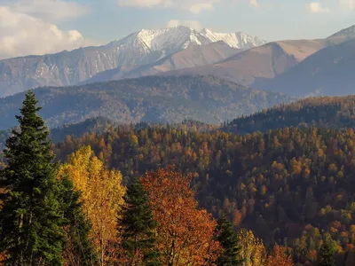 Светлана Архипова - Осень в горах, 2021, 400×500 см: Описание произведения  | Артхив