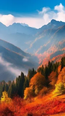 Картина Картина "Осень в горах" 90x120 SK150902 купить в Москве