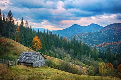 ОСЕНЬ В ГОРАХ — Фото №109366