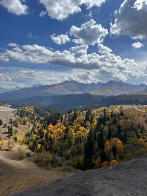 Осень в горах 🏔️ в 2023 г | Осень
