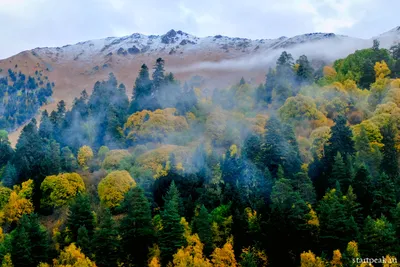 Осень в горах