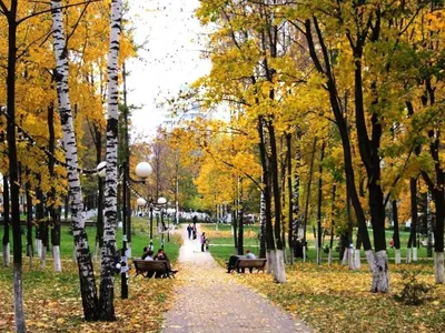 Осень в городе | Пикабу