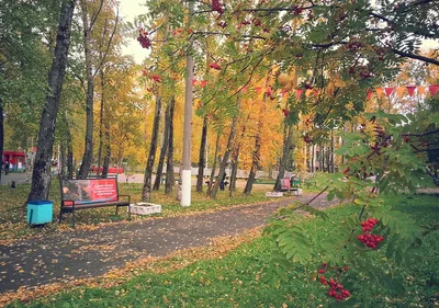 Онлайн-конкурс рисунков "Осень в моем городе" » №85 Орта мектеп