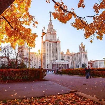 Осень в городе Москва» — создано в Шедевруме