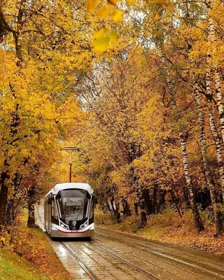 Осень в Москве может стать самой теплой за 100 лет