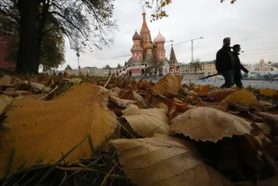 Осень в Москве станет самой теплой за всю историю - Мослента