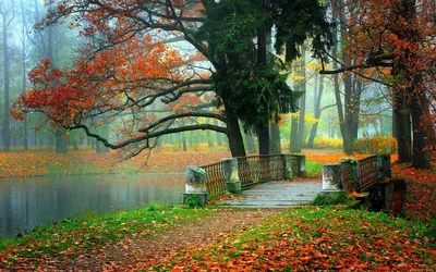 Осень в парке 
