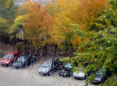 В Башкирию вернулась дождливая осень. За окном +4