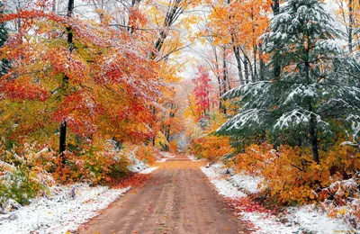 Осень-зима 🍂❄️ | Осенний пейзаж, Осенние картинки, Зимние сцены