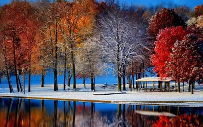 Осень зима 59 картинок