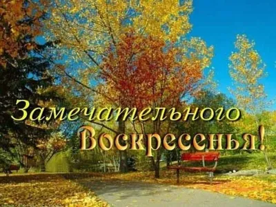 Золотая осень Autumn Позитив друзьям Красивая музыкальная видео открытка  Card Красивое Поздравление - YouTube